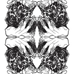 Stream THE LEVITATION HEX music | Listen to songs, albums