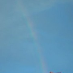 professional sandwich 🥪