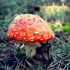 Universal Mind