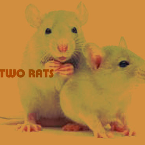 Stream TWO RATS music | Listen to songs, albums, playlists for free on ...