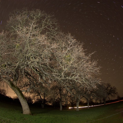 Body X Blowback (Sean Paul, Galimatias Ft Migos) V2