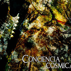 concienciacosmica