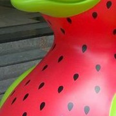 Duck Right Duck Rice