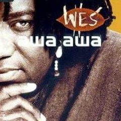 Wes Madiko 1 S Stream