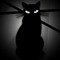 Nocturnalcat