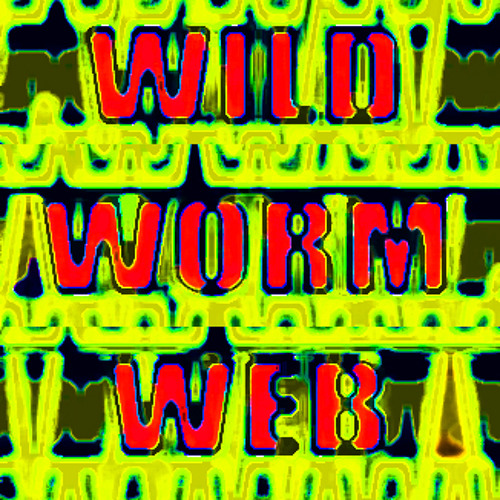 WILD WORM WEB’s avatar