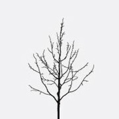 Verderame Streetteam