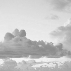 Opaque Horizon