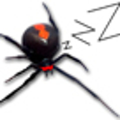 SleepySpider
