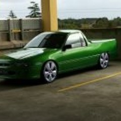 Cameron Shrek Wotherspoon