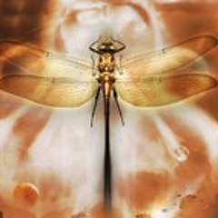 Lilian Martinez Miguel