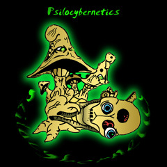 Psilocybernetics