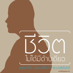06 ธุลีดิน :  Srirajah Rockers