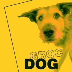 GrocDog