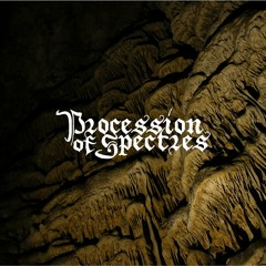 Procession Of Spectres