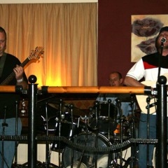 Monkeys Living In The Sea