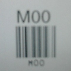 Mooster