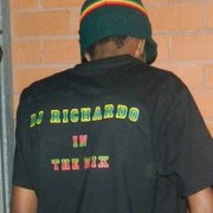 DJ Richardo in the mix