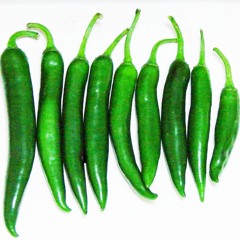 CHILLI BOUNCE BOYS