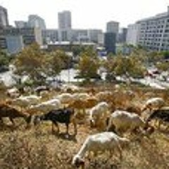 Rikki Resistanceisfertile