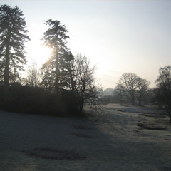 laforetbleue
