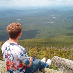 sargeantibbsandthebedbugs