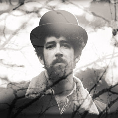 themapletrailofficial