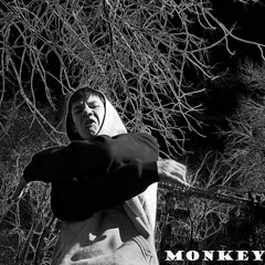 MonkeyManTracks