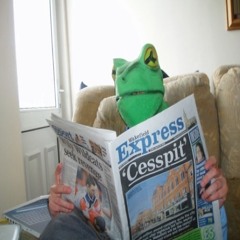 thefrognextdoor