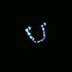 Profanity(AKA B.E.N.T)