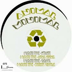 gayatri MnmalProgrTechrmx