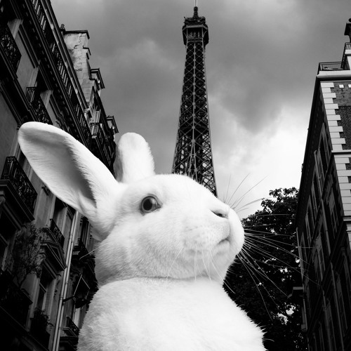 The Golden Filter - Shake