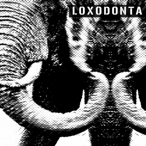 Loxodonta’s avatar