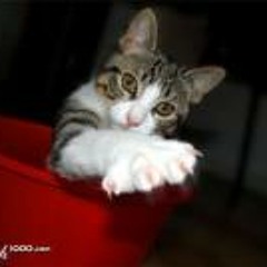 Kanutsanant Banpakan