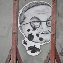 normandrew