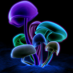 Magnetous