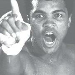 preciseaudiosolutions