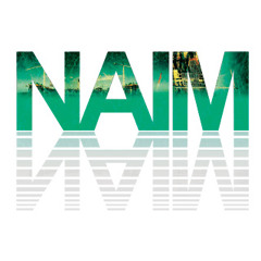NAIM80