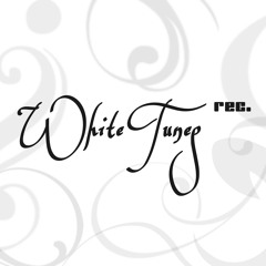 White Tunes Records