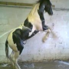 Paige Kathrine Aungier