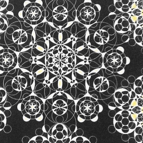 Bon Iver ~ Woods
