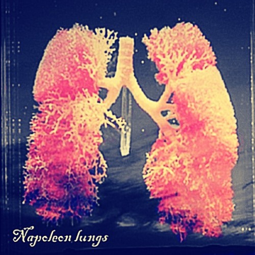 Napoleon Lungs’s avatar