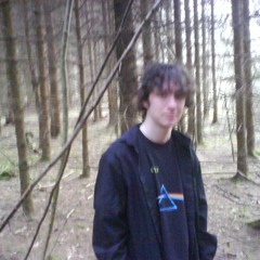 The late night alley cats