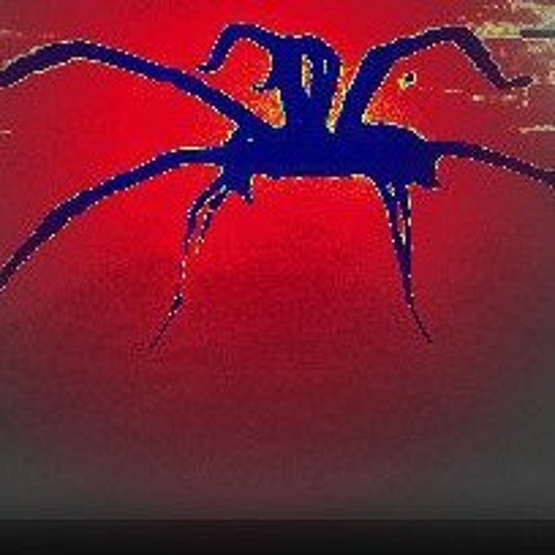 Arachnoid Recordings’s avatar