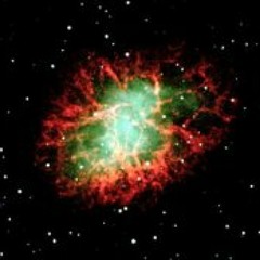 turtle space