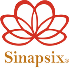 Sinapsix CA