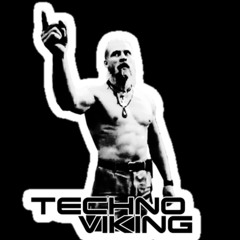 The Techno Viking