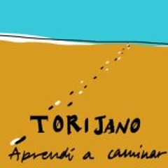 TorijanoGroup