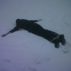 Cracks in the Armour