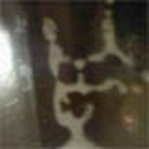 Bowen Injin disquiet0117-naviarjunto Naviarhaiku012–Theyencounter